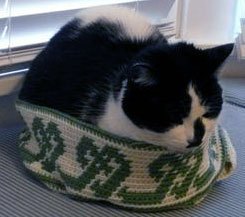 Annie’s cat approves!